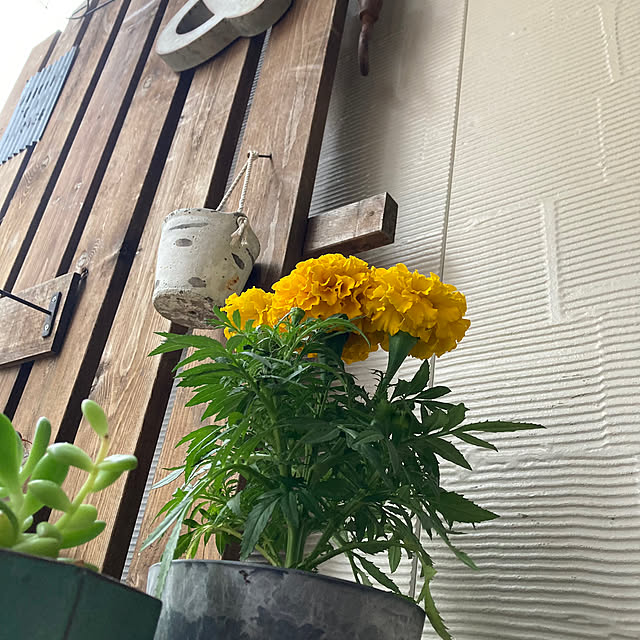 okkunさんの部屋