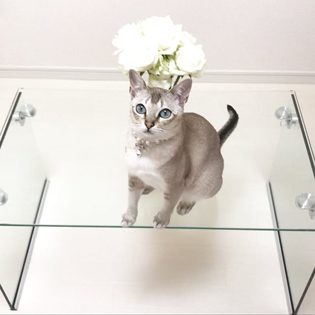 MARONさんの実例写真