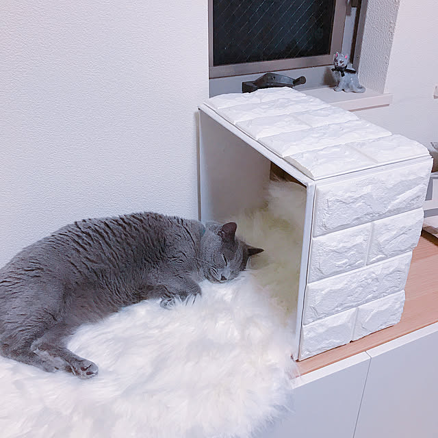 skr1203さんの実例写真