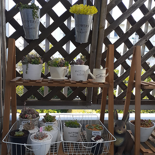 部屋全体/多肉植物/ハンドメイド/ニトリ/雑貨...などのインテリア実例 - 2020-04-09 07:46:14