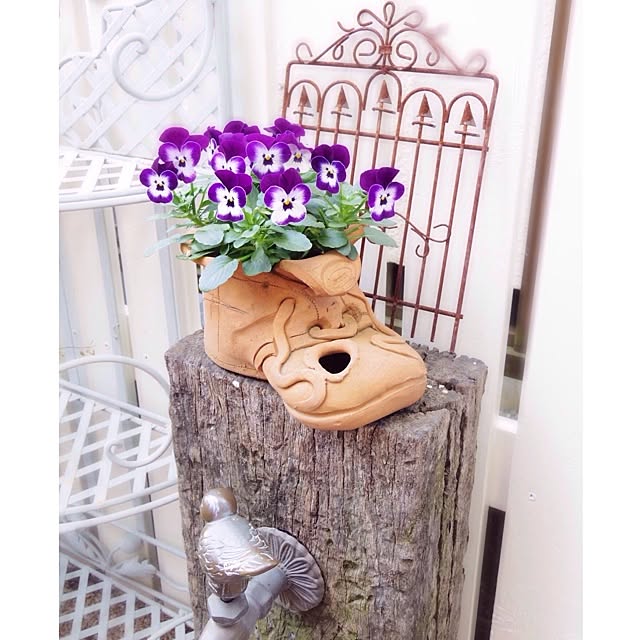 mooさんの実例写真