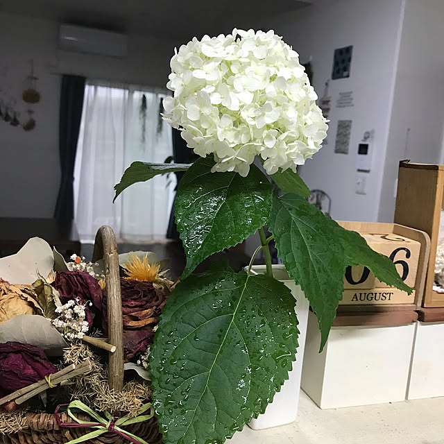 Nicoleさんの実例写真