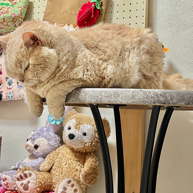 naokoさんの実例写真