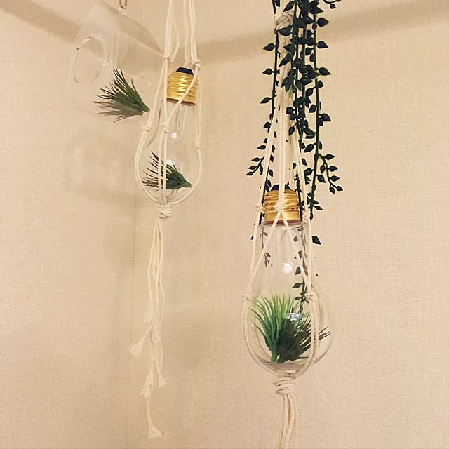 miSaさんの実例写真