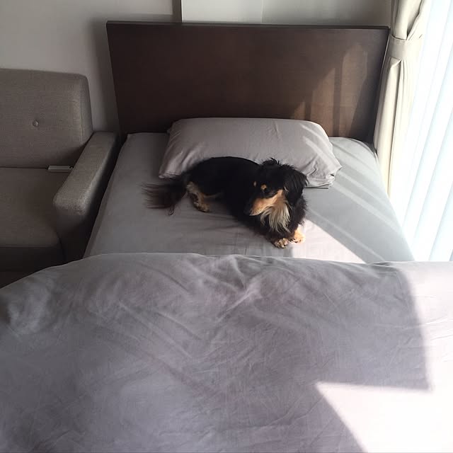 coolさんの実例写真