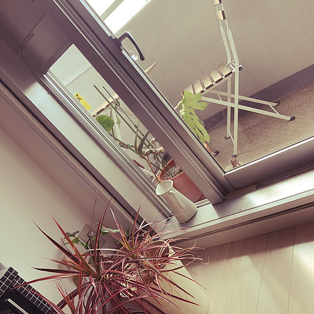shinさんの実例写真