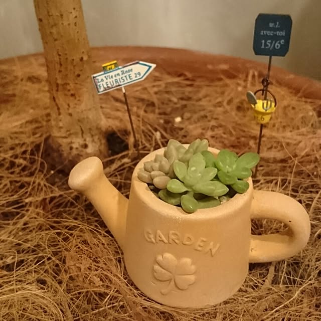 naoさんの実例写真