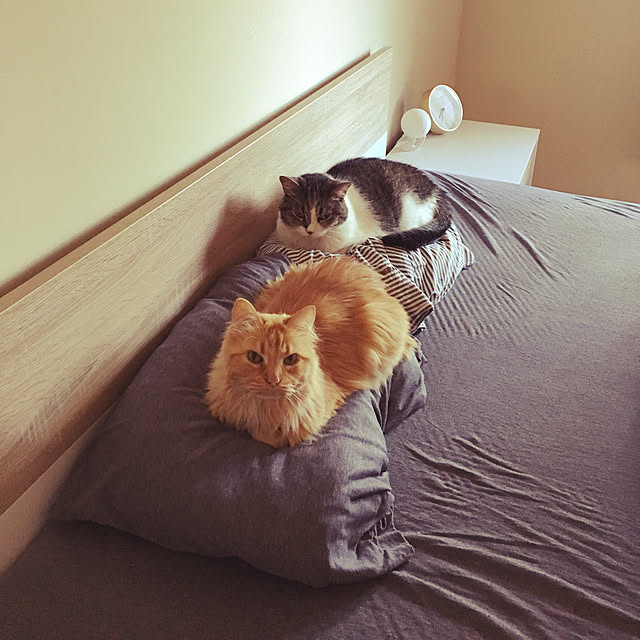 Keiさんの実例写真