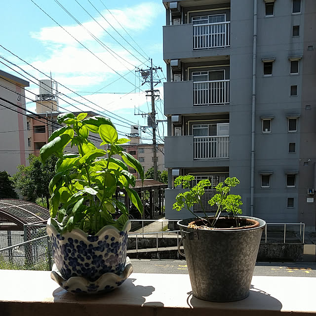 nekopippiさんの実例写真