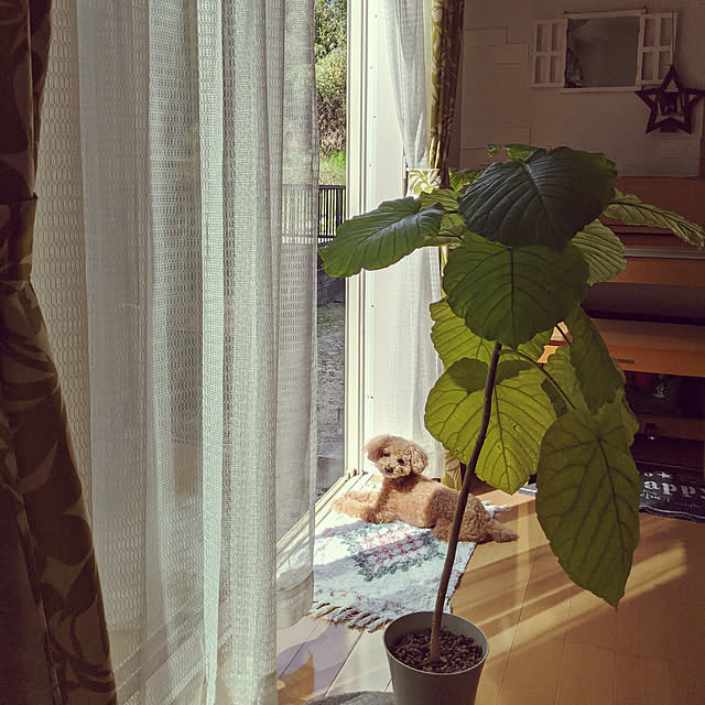 HIROMINさんの実例写真