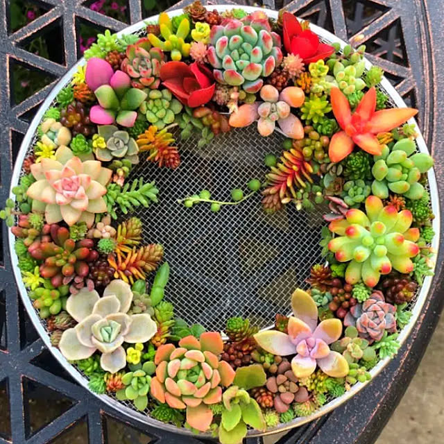 観葉植物/玄関/入り口のインテリア実例 - 2019-12-21 20:47:24