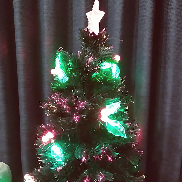 部屋全体/クリスマスのインテリア実例 - 2020-11-12 17:36:27