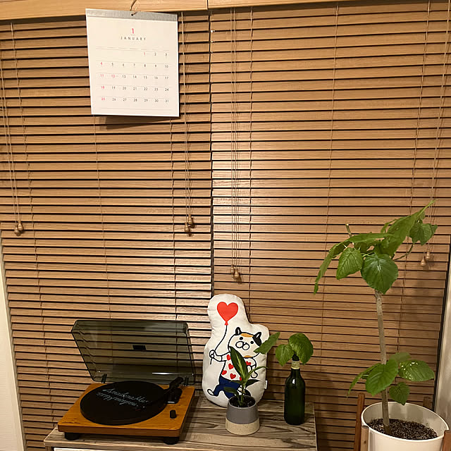 chizuruさんの部屋