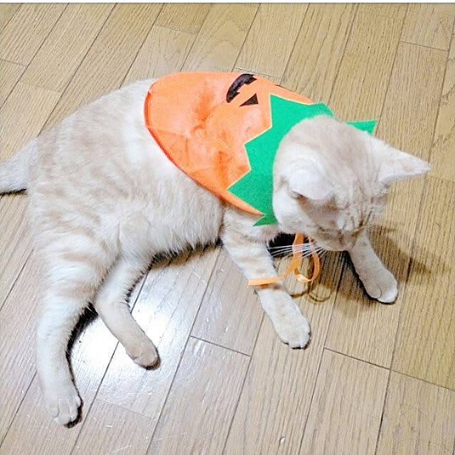 heart.emiemi57.whiteさんの実例写真