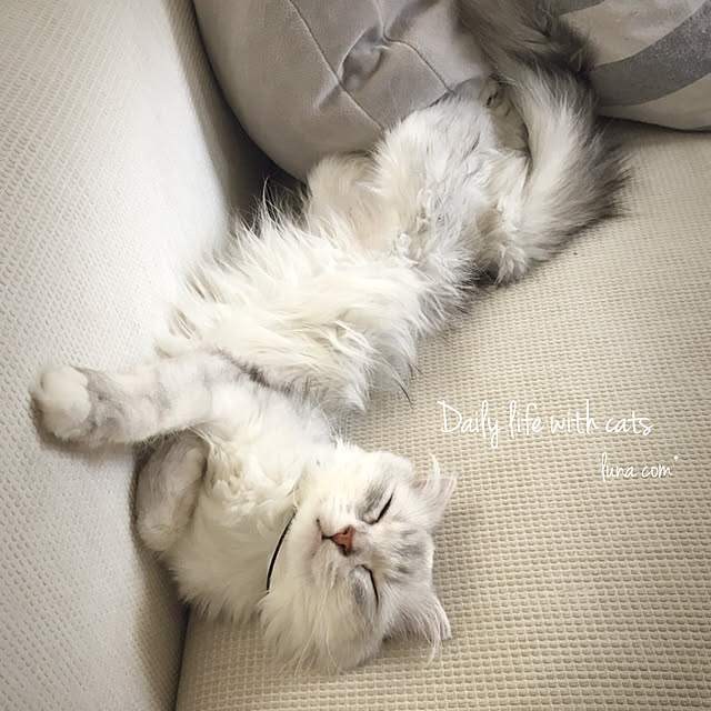luna.comさんの実例写真