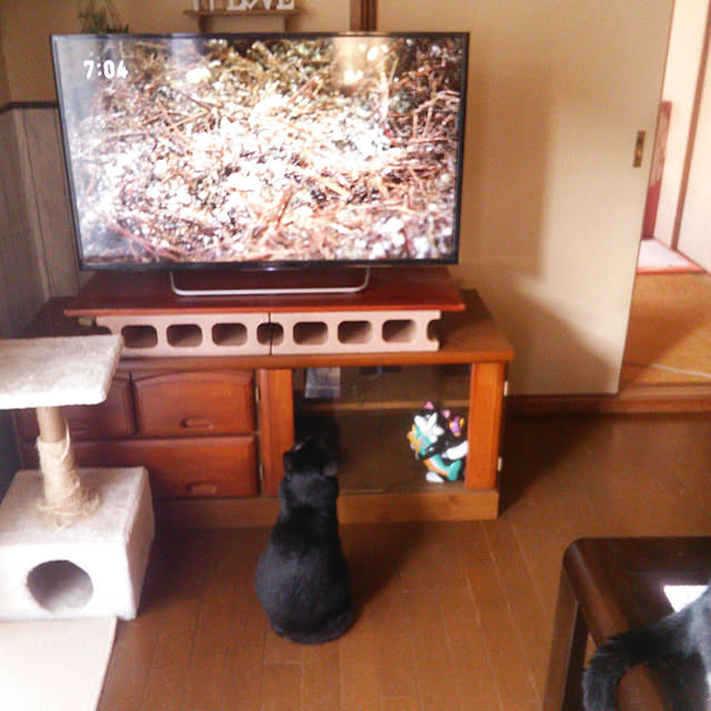 Tomopさんの実例写真