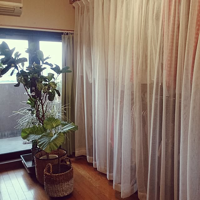 aya-sanさんの実例写真
