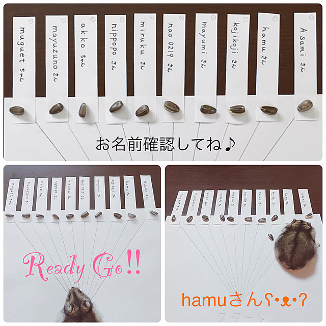 hamu.haruさんの実例写真