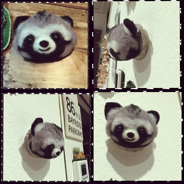 Raccoonさんの実例写真