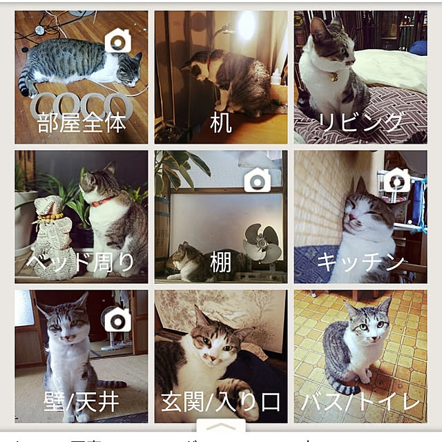 SYOUGUNさんの実例写真