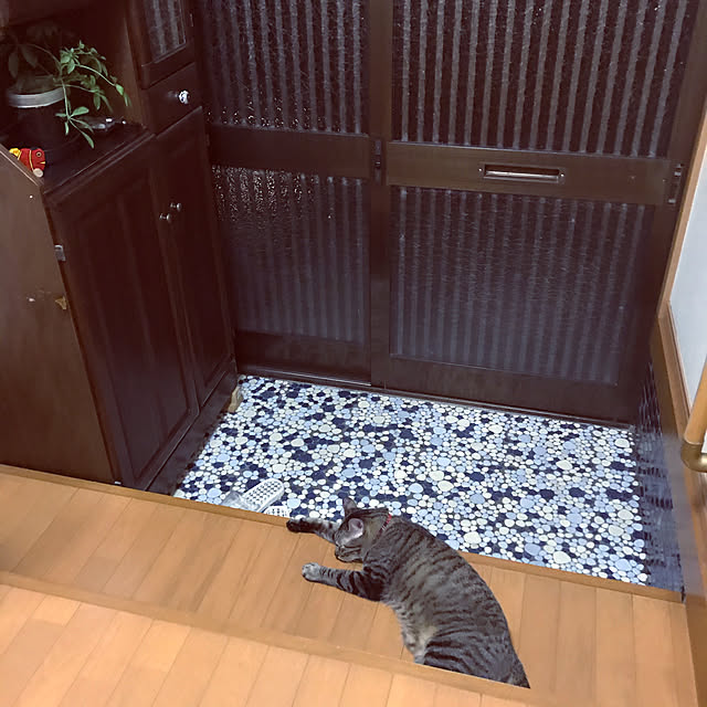 mikan161さんの実例写真