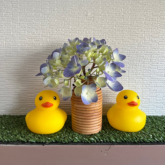 miyakoさんの部屋