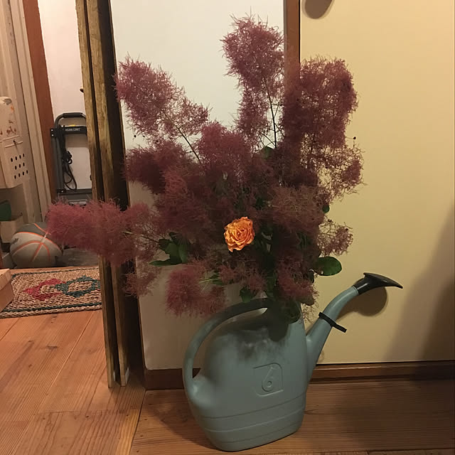 fogさんの実例写真