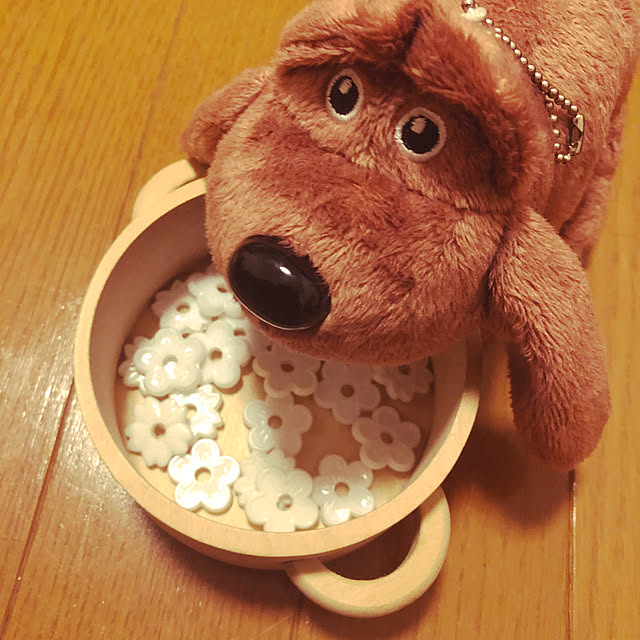 kotaさんの実例写真