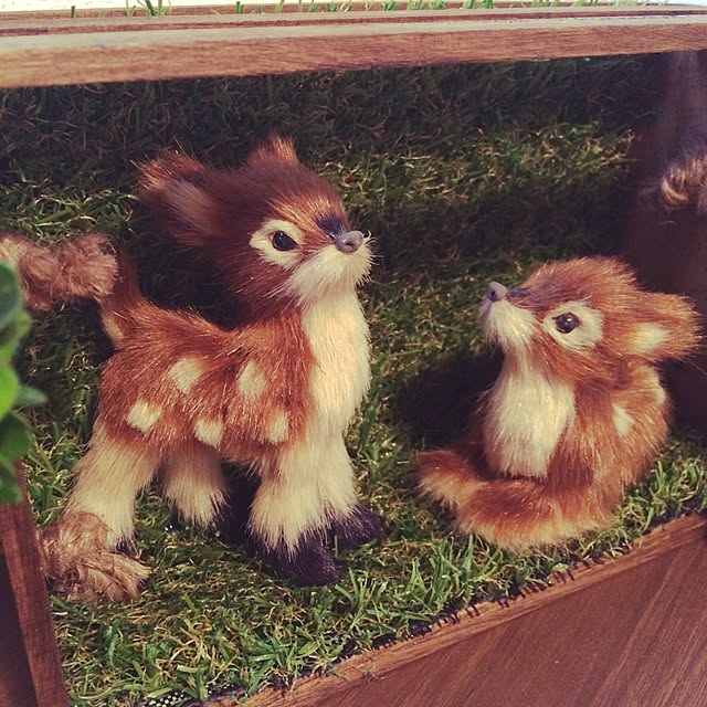 aiさんの実例写真