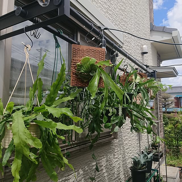 ot-gardenさんの部屋