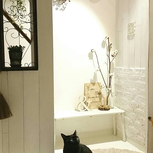 mikiさんの実例写真