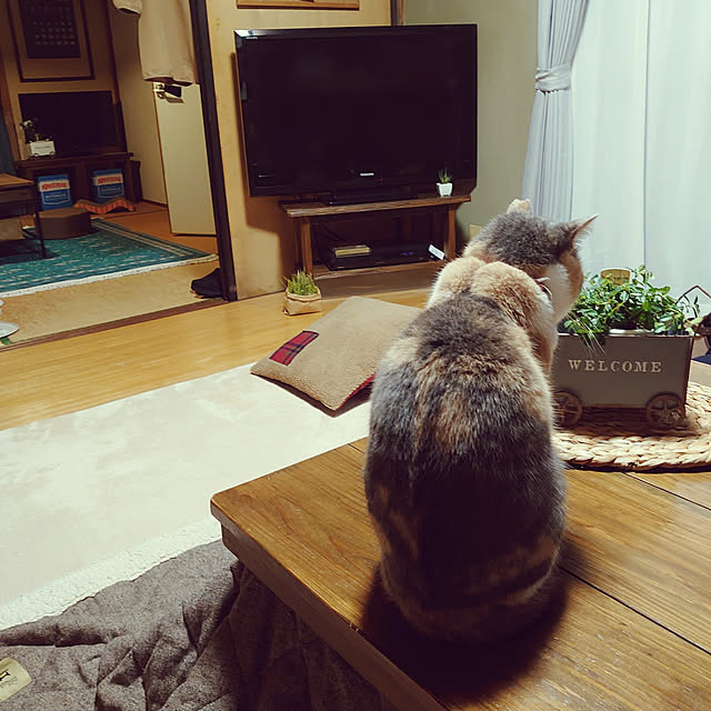 fukuさんの実例写真