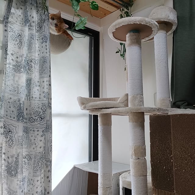 mori_6_12さんの部屋