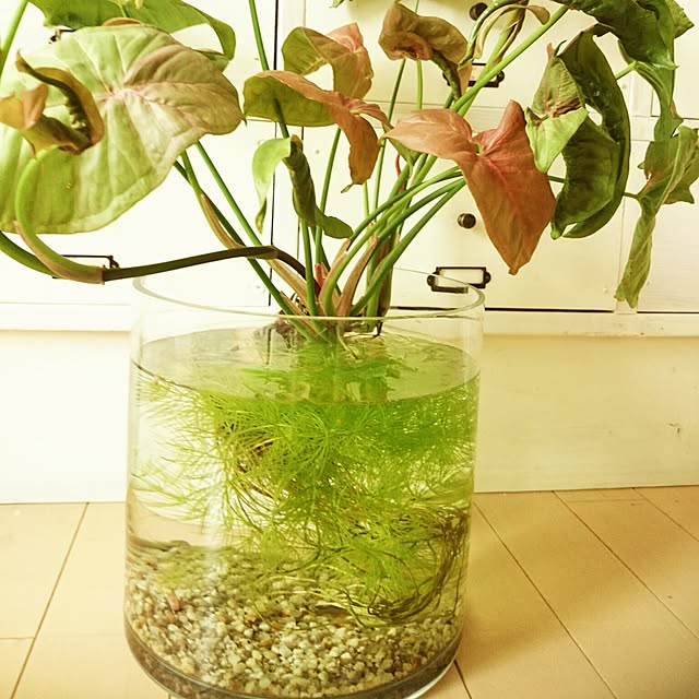 be4500さんの実例写真