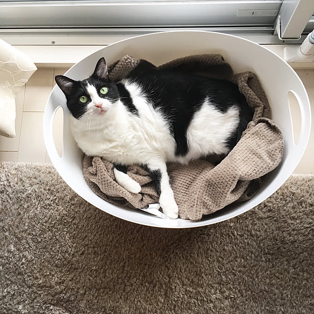 bikkeさんの実例写真