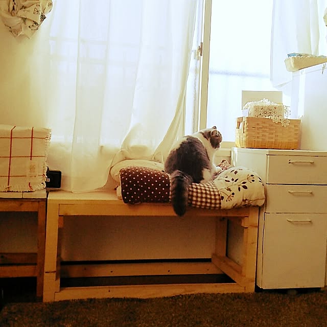 otoさんの実例写真