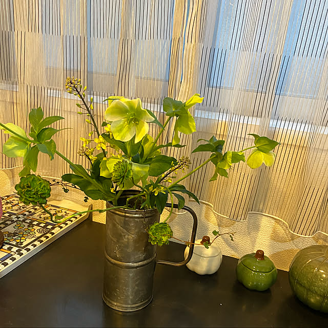 花を飾る/お部屋に花を/ワイヤープランツ/ブリキポット/葉牡丹の花...などのインテリア実例 - 2022-04-10 14:45:48