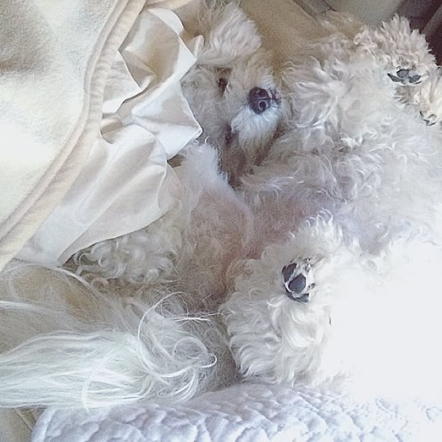 happy_bridgeさんの実例写真