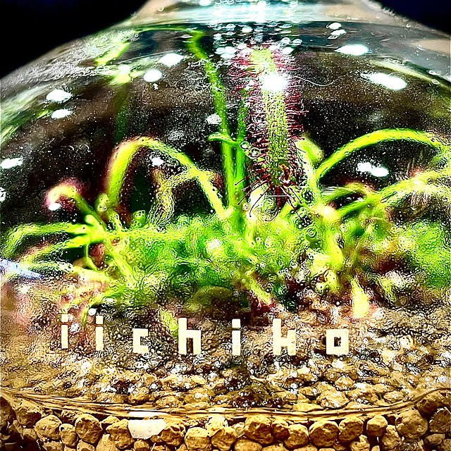 ginjiさんの部屋