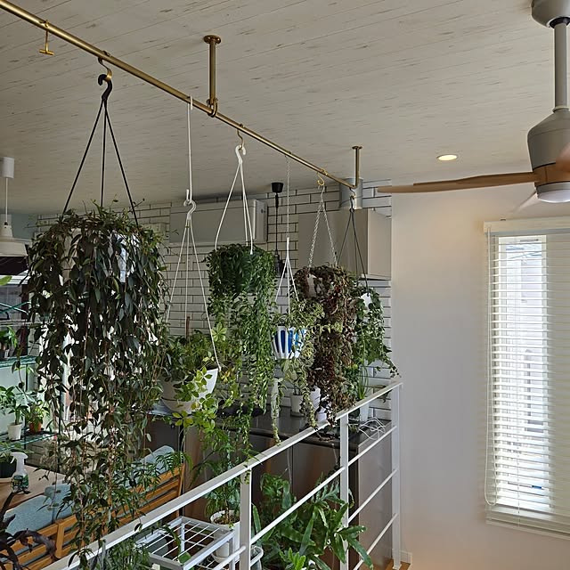 nonbiri_house_さんの部屋