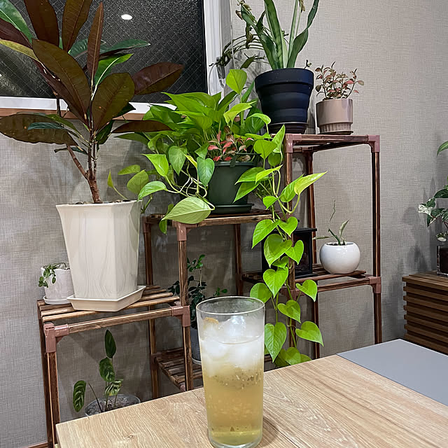 ikuzakさんの実例写真