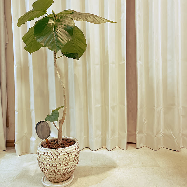 cocoさんの実例写真
