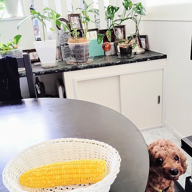 MOMOMAMAさんの実例写真