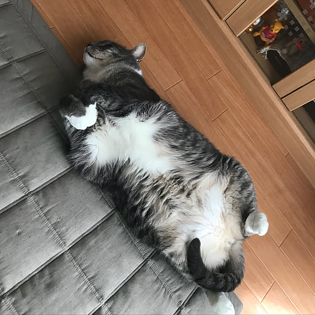 Machikoさんの実例写真