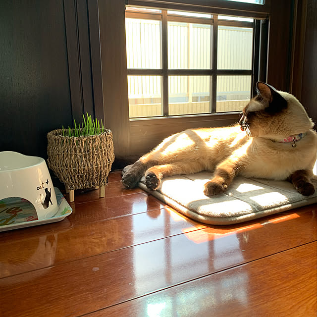 shi622さんの実例写真