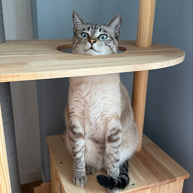 amさんの部屋