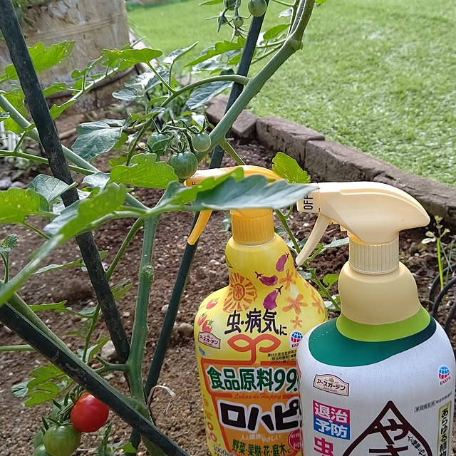 Ri-さんの実例写真
