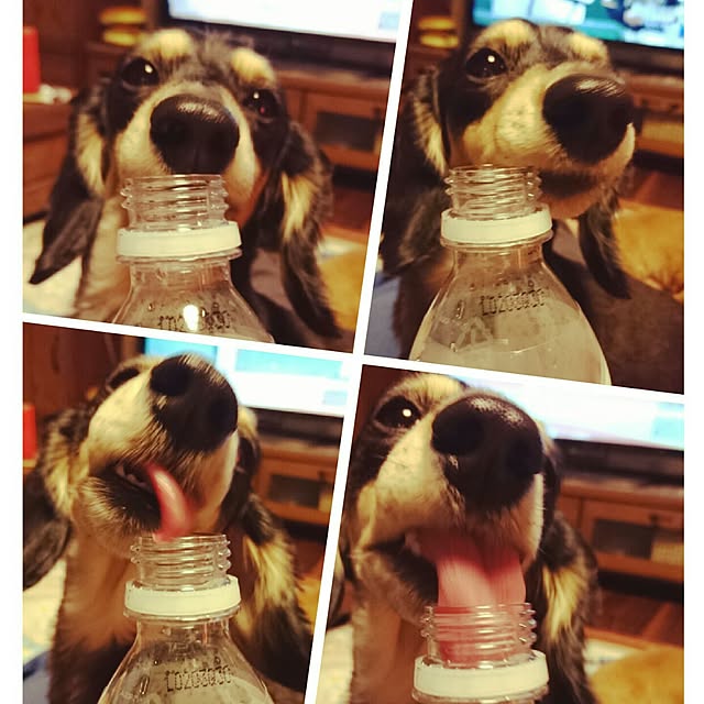 cocosorasakuさんの実例写真