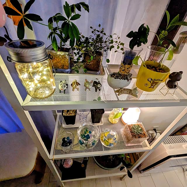 mi-saさんの部屋
