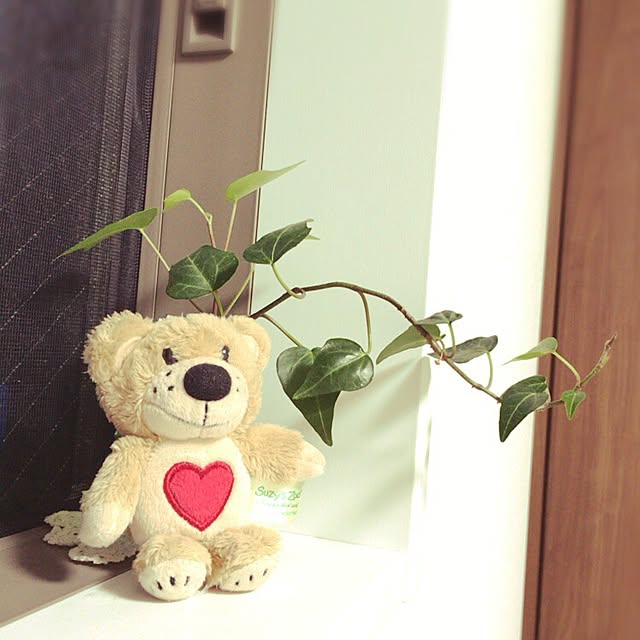 natureさんの実例写真